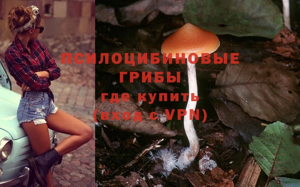 спиды Волоколамск