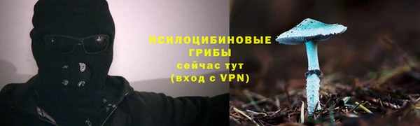 спиды Волоколамск