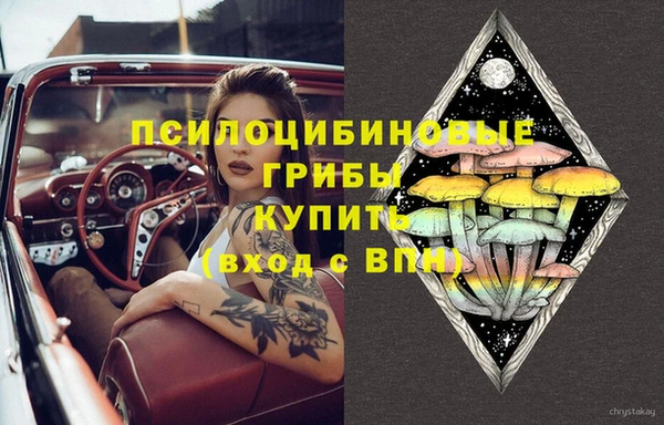 сатива Володарск
