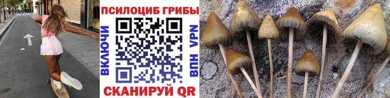 Купить  Томск  Галлюциногенные грибы ЛСД 